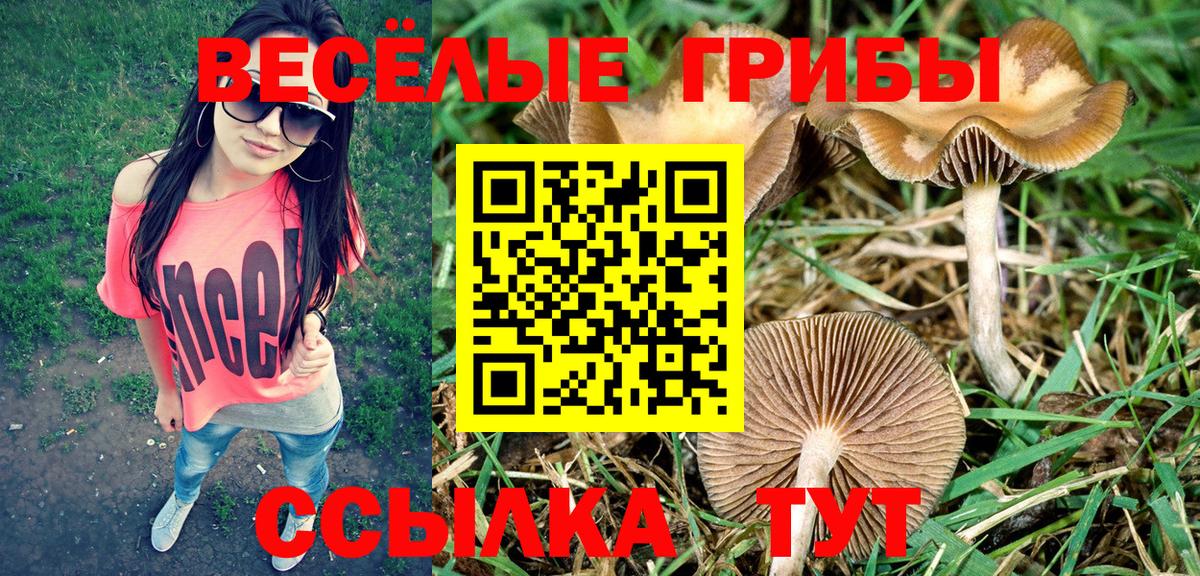 Коломна  Псилоцибиновые грибы мицелий  Вход с VPN  Псилоцибиновые грибы Magic Shrooms 