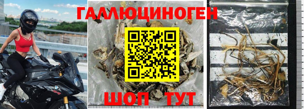 Галлюциногенные грибы Cubensis Коломна